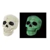 Seasons (HK) Ltd. Glow In The Dark Skull Halloween Decoration 1 Seasons (HK) Ltd. Glow In The Dark Skull Halloween Decoration -Skeletons And Skulls Sales Shop glow in the dark skull