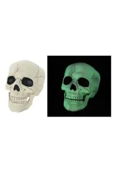 Seasons (HK) Ltd. Glow In The Dark Skull Halloween Decoration