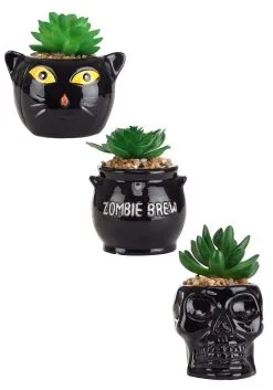 Transpac Cauldron, Cat, & Skeleton Decorative Halloween Succulent Planter Set -Skeletons And Skulls Sales Shop halloween succulent planter set cauldron cat sk alt 1
