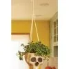 Fun World Hanging Bone Color Skull Planter 2 Fun World Hanging Bone Color Skull Planter -Skeletons And Skulls Sales Shop hanging skull bone color planter