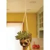 Fun World Hanging Gold Color Skull Planter 2 Fun World Hanging Gold Color Skull Planter -Skeletons And Skulls Sales Shop hanging skull gold color planter