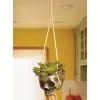 Fun World Hanging Silver Color Skull Planter 2 Fun World Hanging Silver Color Skull Planter -Skeletons And Skulls Sales Shop hanging skull silver color planter
