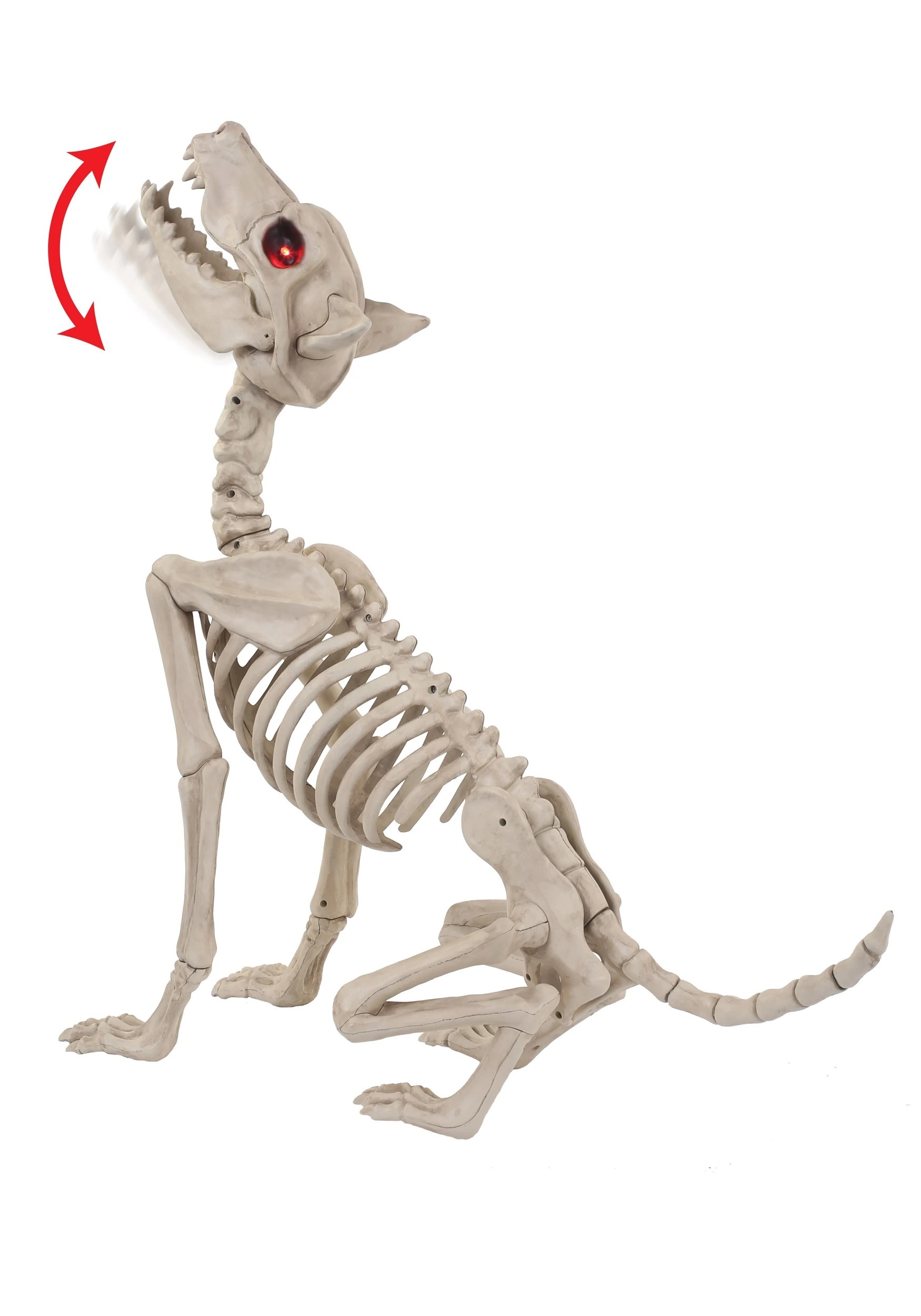 Seasons (HK) Ltd. Howling Bonez 27" Animated Dog Skeleton Halloween Prop 3 Seasons (HK) Ltd. Howling Bonez 27" Animated Dog Skeleton Halloween Prop
