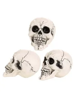 Aroma Large 12 Pack Of Skulls Decoration -Skeletons And Skulls Sales Shop large skull 12 pack cy21082 alt 3