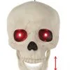 Seasons (HK) Ltd. Life Sized Animated Hanging Skull Halloween Decoration