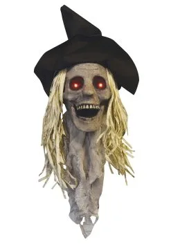 Sunstar Industries Scarecrow Head Light Up Decoration
