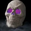 Seasons (HK) Ltd. Misting Spooky Skull Decoration 2 Seasons (HK) Ltd. Misting Spooky Skull Decoration -Skeletons And Skulls Sales Shop misting skull decoration