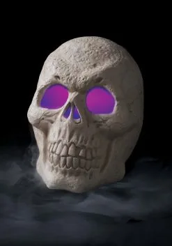 Seasons (HK) Ltd. Misting Spooky Skull Decoration