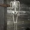 Sunstar Industries Plastic Realistic Skeleton -Skeletons And Skulls Sales Shop plastic realistic skeleton update 1 0