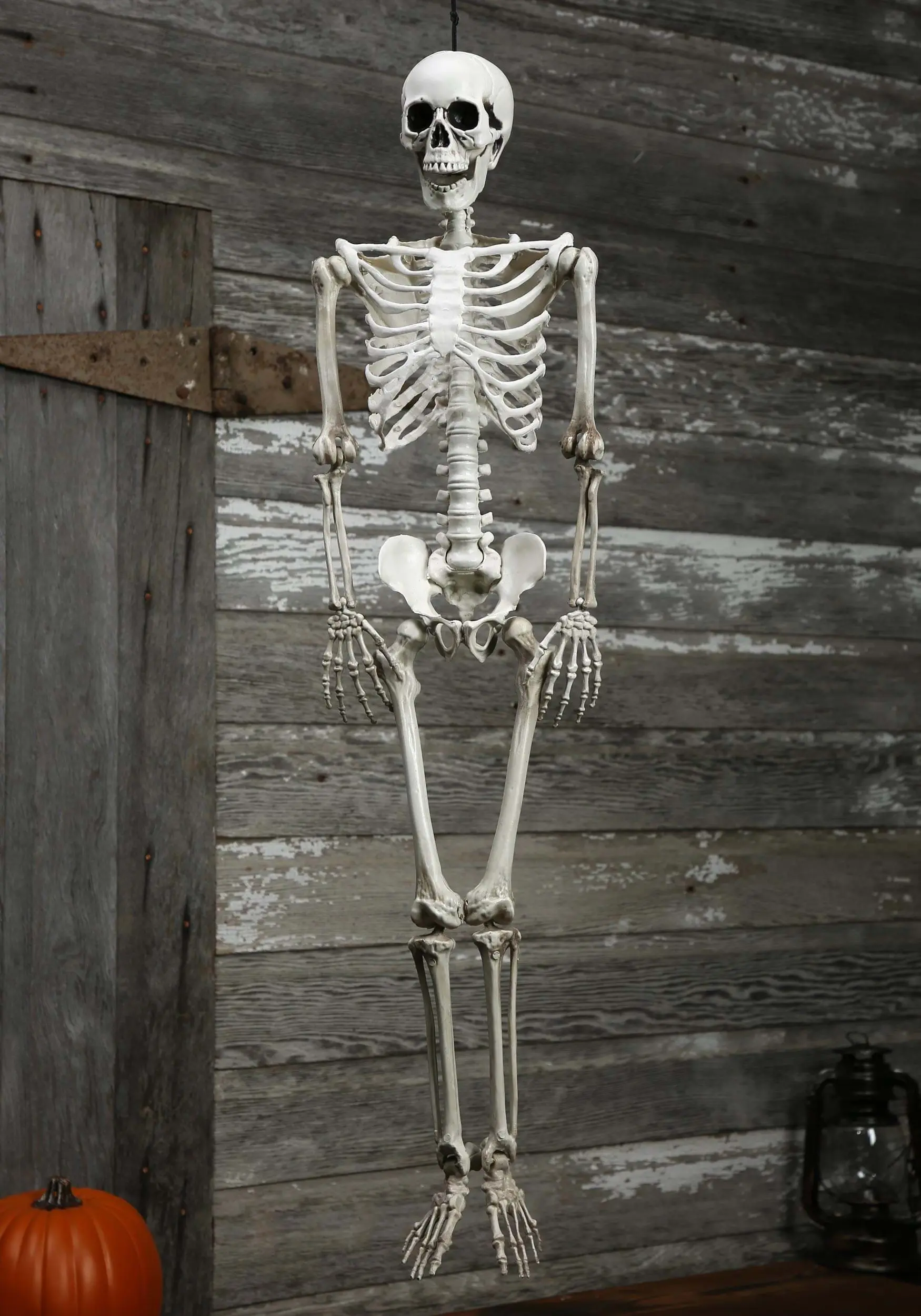 Sunstar Industries Plastic Realistic Skeleton 3 Sunstar Industries Plastic Realistic Skeleton