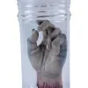 Ghoulish Productions Halloween Severed Hand Lab Experiment Décor