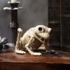 Seasons (HK) Ltd. Skeleton Frog Decoration -Skeletons And Skulls Sales Shop skeleton frog halloween decoration upd