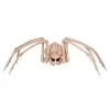 Seasons (HK) Ltd. 42" Skeleton Spider 2 Seasons (HK) Ltd. 42" Skeleton Spider -Skeletons And Skulls Sales Shop skeleton spider