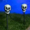 Yihai Set Of 4 Skull Pathway Lights Decoration -Skeletons And Skulls Sales Shop skull pathway lights 4 piece 1