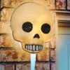 Seasons (HK) Ltd. Jawless Skull Porch Light Cover Or Wall Decoration